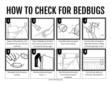 Bedbugs Tutorial Printable Board Game